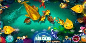 Bắn cá H5
