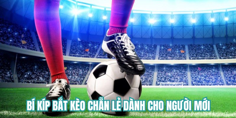 Bí kíp bắt kèo chẵn lẻ dành cho người mới