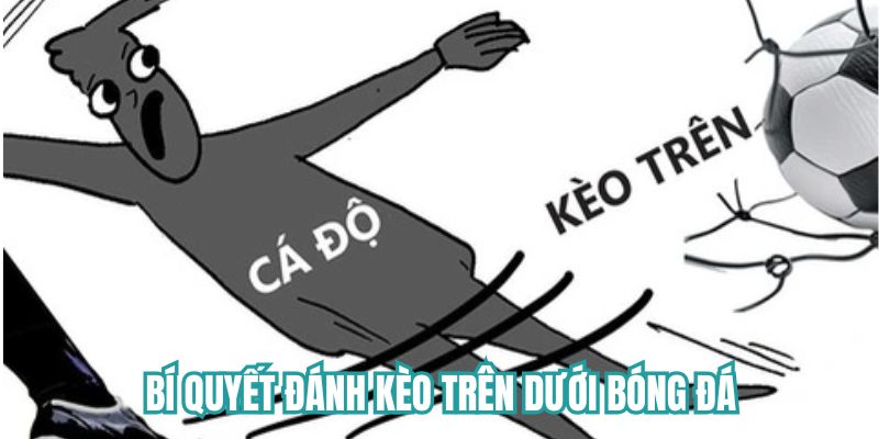 Bí quyết đánh kèo trên dưới trong bóng đá hiệu quả