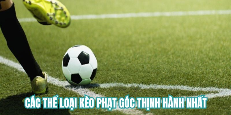 Các thể loại kèo phạt góc thịnh hành nhất