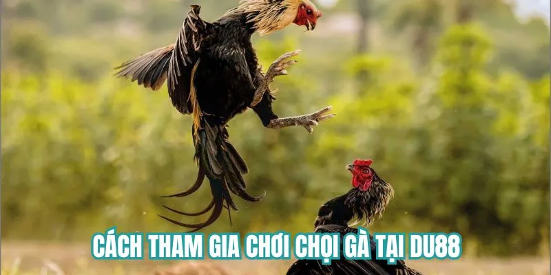 Từng bước tham gia cược game hiệu quả nhất