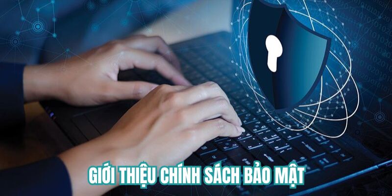 Tổng quan chính sách bảo mật