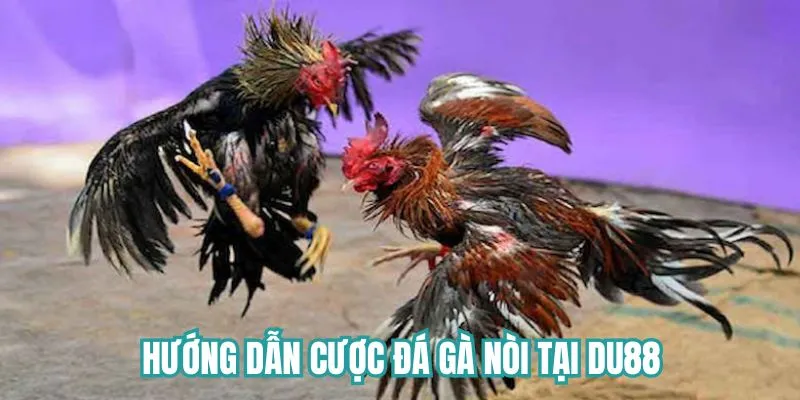 Hướng dẫn tham gia cược game tại Du88