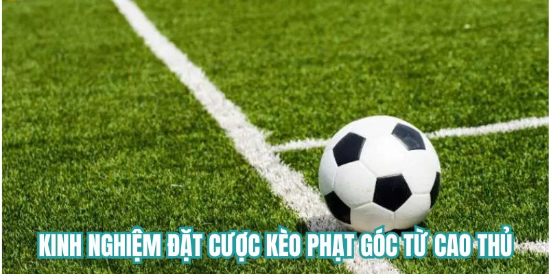 Kinh nghiệm đặt cược kèo phạt góc từ cao thủ
