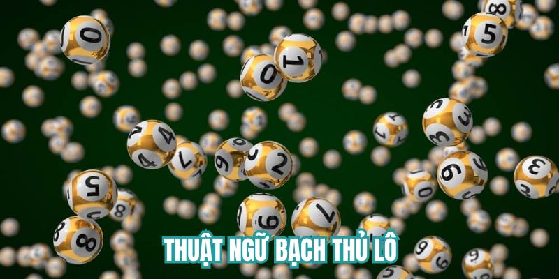 Thuật ngữ bạch thủ lô 
