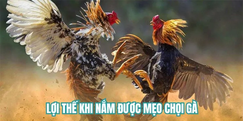 Ưu điểm khi nắm được các mẹo cược