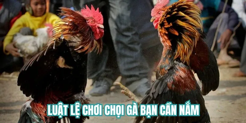 Luật chơi game anh em cần nắm rõ