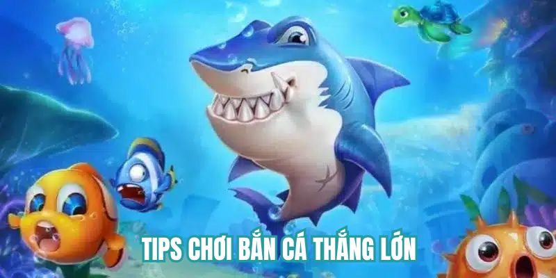 Tips chơi bắn cá thắng lớn