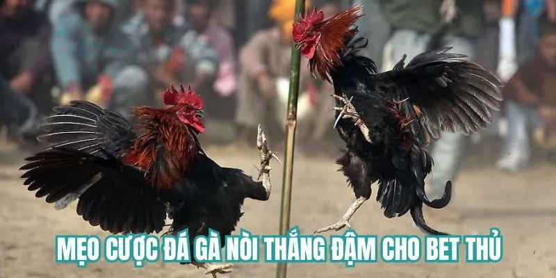 Mẹo chơi game thắng lớn cho các hội viên
