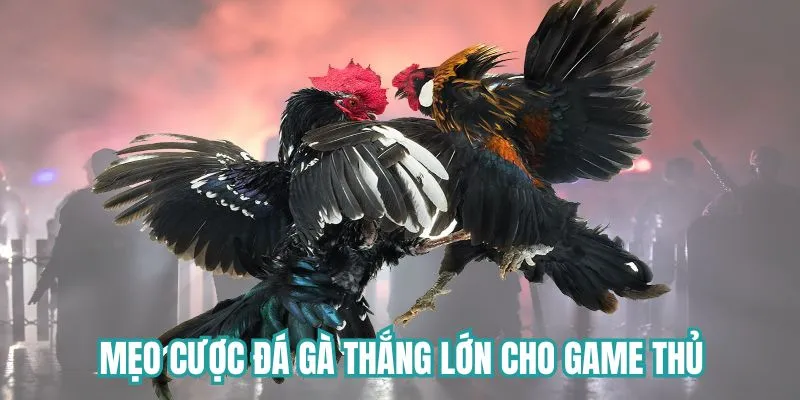 Mẹo chơi thắng lớn cho anh em 