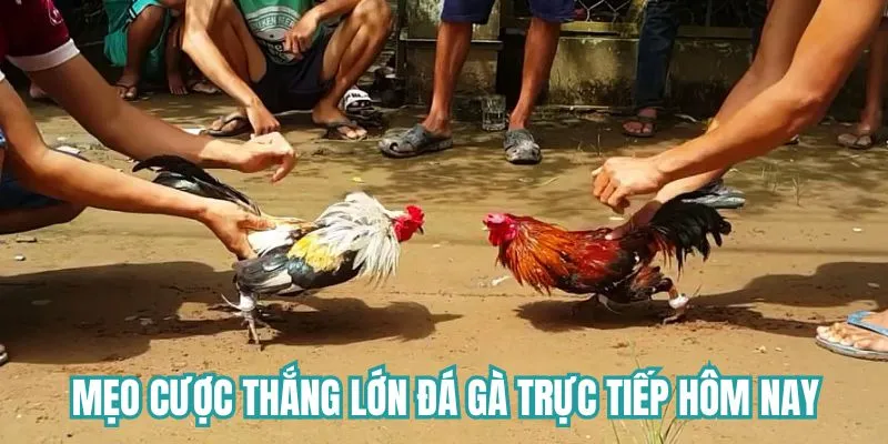Mẹo cược thắng lớn dành cho các bet thủ