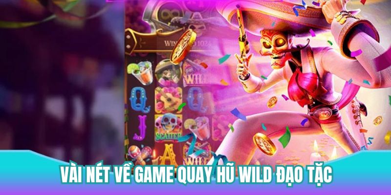 Vài nét về game quay hũ Wild Đạo Tặc