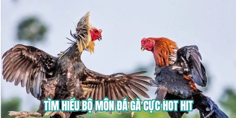 Khám phá siêu phẩm game đá gà Du88