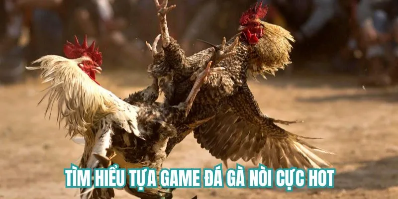 Khám phá game đá gà nòi tại Du88