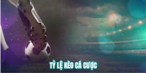 tỷ lệ kèo cá cược