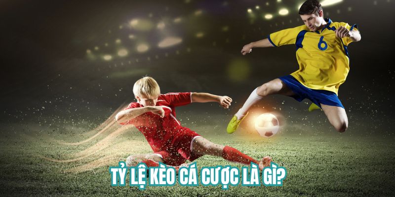Tỷ lệ kèo cá cược là gì?