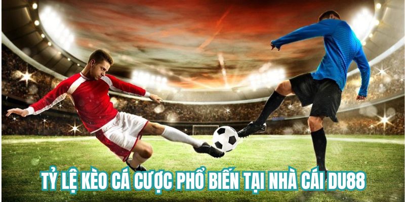 Tỷ lệ kèo cá cược phổ biến tại nhà cái DU88